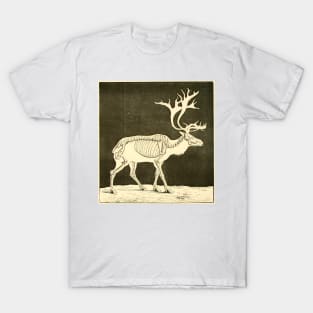 Reindeer Skeleton Vintage Illustration T-Shirt